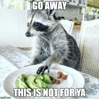 😒 GO AWAY
THIS IS NOT FOR YA mapache, animales, meme, comida, aguacate, almendras whatsapp sticker