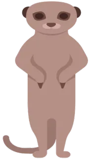 😝 суррика́та, животное, млекопитающее, стоящий, милый, дикая природа telegram sticker