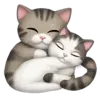 🐈