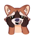 🤩 guaxinim, fofo, olhos brilhantes, feliz, desenho animado, animal telegram sticker