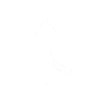 ⬆️
