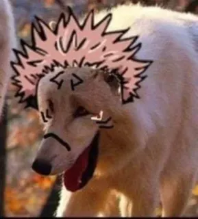 😂 telegram sticker