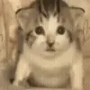 😦