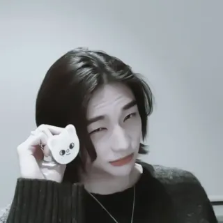 🔮 mèo, động vật, nhãn dán, dễ thương, hoạt hình whatsapp sticker