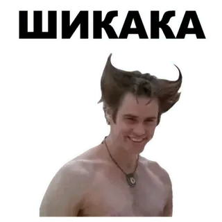 🤒 Ace Ventura Ace Ventura: When Nature Calls ШИКАКА Ace Ventura, Jim Carrey, Shikaka, comedy, movie, funny, expression, meme whatsapp sticker