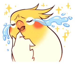 😭 vẹt mào, chim, khóc, buồn, nước mắt, vàng telegram sticker