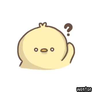 🐤 poussin, point d'interrogation, mignon, animal, dessin animé telegram sticker