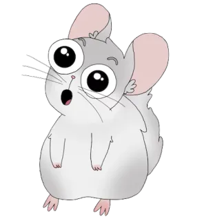 😱 chinchilla, dibujo animado, animal, lindo, roedor, ojos grandes telegram sticker