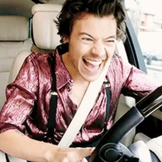 😂 Harry Styles man, singer, driving, celebrity, Harry Styles, person telegram sticker