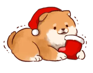 🎅 cane, natale, cucciolo, cappello babbo natale, carino, adesivo whatsapp sticker