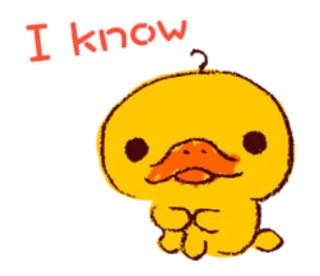 😐 I know pato, dibujos animados, lindo, animal, amarillo, pájaro, kawaii telegram sticker