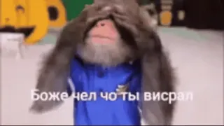 🫤 Боже чел чо ты висрал whatsapp sticker