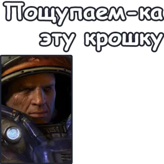 🔞 Jim Raynor StarCraft Пощупаем-ка эту крошку 兵士, ビデオゲーム, テラン, 宇宙, SF telegram sticker