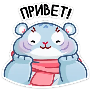 👋 ПРИВЕТ! หมี, สวัสดี, ผ้าพันคอ, สัตว์, น่ารัก telegram sticker