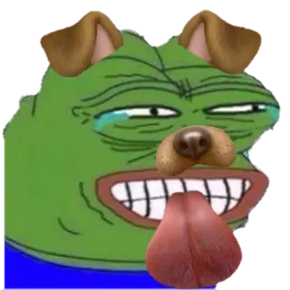 😐 Pepe the Frog pepe, sapo, cachorro, filtro de cachorro, meme, meme da internet whatsapp sticker