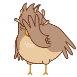 Sharp-eyed Falcon telegram stickers