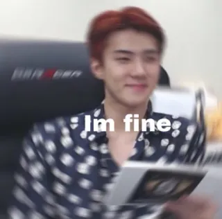 👑 I'm fine meme, expression, portrait, k-pop, asian, emotion telegram sticker