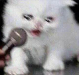 🎥 cat, kitten, microphone, singing, meme, animal telegram sticker