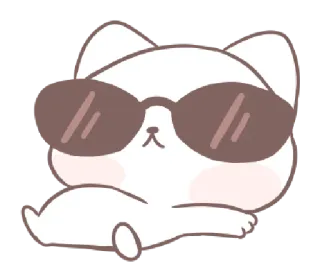 😎 gato, óculos de sol, fofo, animal, desenho animado, gato branco, legal whatsapp sticker