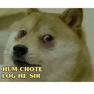 😔 HUM CHOTE LOG HE SIR dog, meme, internet, small, hindi telegram sticker