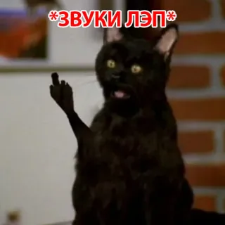 😗 *ЗВУКИ ЛЭП* 猫, 中指, 攻撃的, 動物 telegram sticker