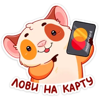 💳 ЛОВИ НА КАРТУ criceto, carta, soldi, carino, animale, carta di credito telegram sticker