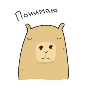 😔 Понимаю Capivara, Animal, Fofo, Desenho animado, Expressão, Russo telegram sticker