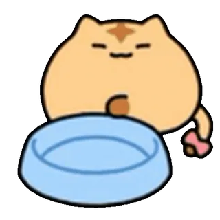 🐱
