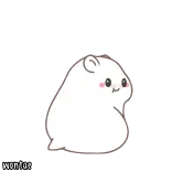 ✨ Wonfor hamster, fofo, animal, adesivo, animado whatsapp sticker