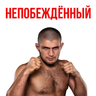 🤬 Khabib Nurmagomedov НЕПОБЕЖДЁННЫЙ luchador, ufc, mma, invicto, ruso whatsapp sticker