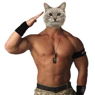 kot blini telegram stickers