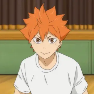 ☀️ Hinata Shoyo Haikyuu!! anime, haikyuu, hinata shoyo, volleyball, character telegram sticker