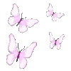 🦋