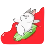 🏄♂️ Hase, Gurke, Cartoon, süß, lustig, Tier telegram sticker