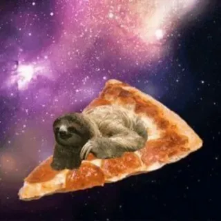 🍕 bradipo, pizza, cibo, animale, galassia, spazio, carino telegram sticker