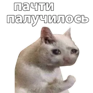 Котичи telegram stickers