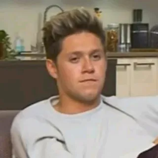 🎸 Niall Horan Niall Horan, cantor, celebridade, música pop telegram sticker
