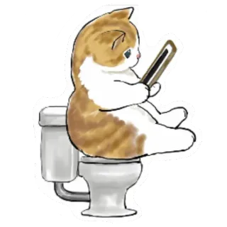 🚽 gato, váter, divertido, pegatina, lindo, animal whatsapp sticker