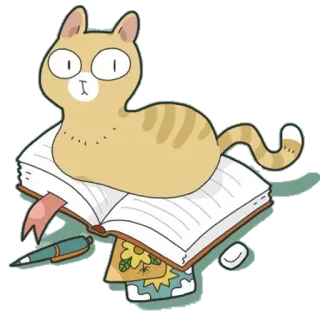 🙀 gato, livro, leitura, estudo, animal, fofo, ilustração whatsapp sticker
