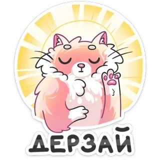 😤 ДЕРЗАЙ 猫, 可爱, 动物, 蓬松, 粉色, 太阳, 励志 telegram sticker