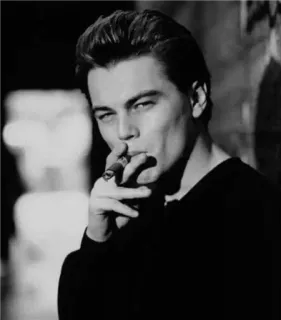 😊 Leonardo DiCaprio aktor, selebriti, merokok, cerutu, potret, hitam putih, pria whatsapp sticker