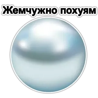 💎 Жемчужно похуям perła, rosyjski, obraźliwy, tekst, naklejka telegram sticker