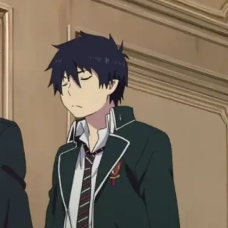 ☁️ Rin Okumura Blue Exorcist Anime, Blue Exorcist, Rin Okumura, Cartoon, Animation telegram sticker