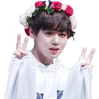 ✌️ мир, венок из цветов, молодость, азиат whatsapp sticker