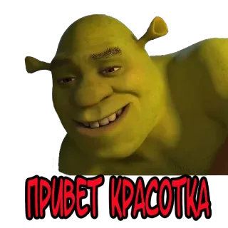 👋 Shrek ПРИВЕТ КРАСОТКА Shrek, Hallo Schönheit, Oger, Gruß whatsapp sticker