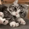 😴
