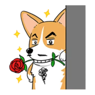🌹 corgi, dog, rose, flower, cartoon telegram sticker
