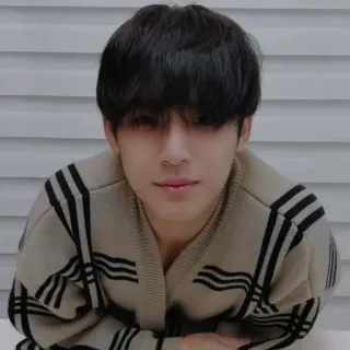 ⛓️ portrait, personne, homme, pull, asiatique telegram sticker