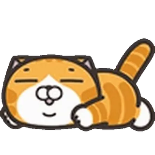 🐈