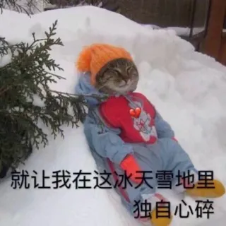 😞 就让我在在这冰天雪地里 独自心碎 gato, nieve, invierno, triste, solo, frío telegram sticker